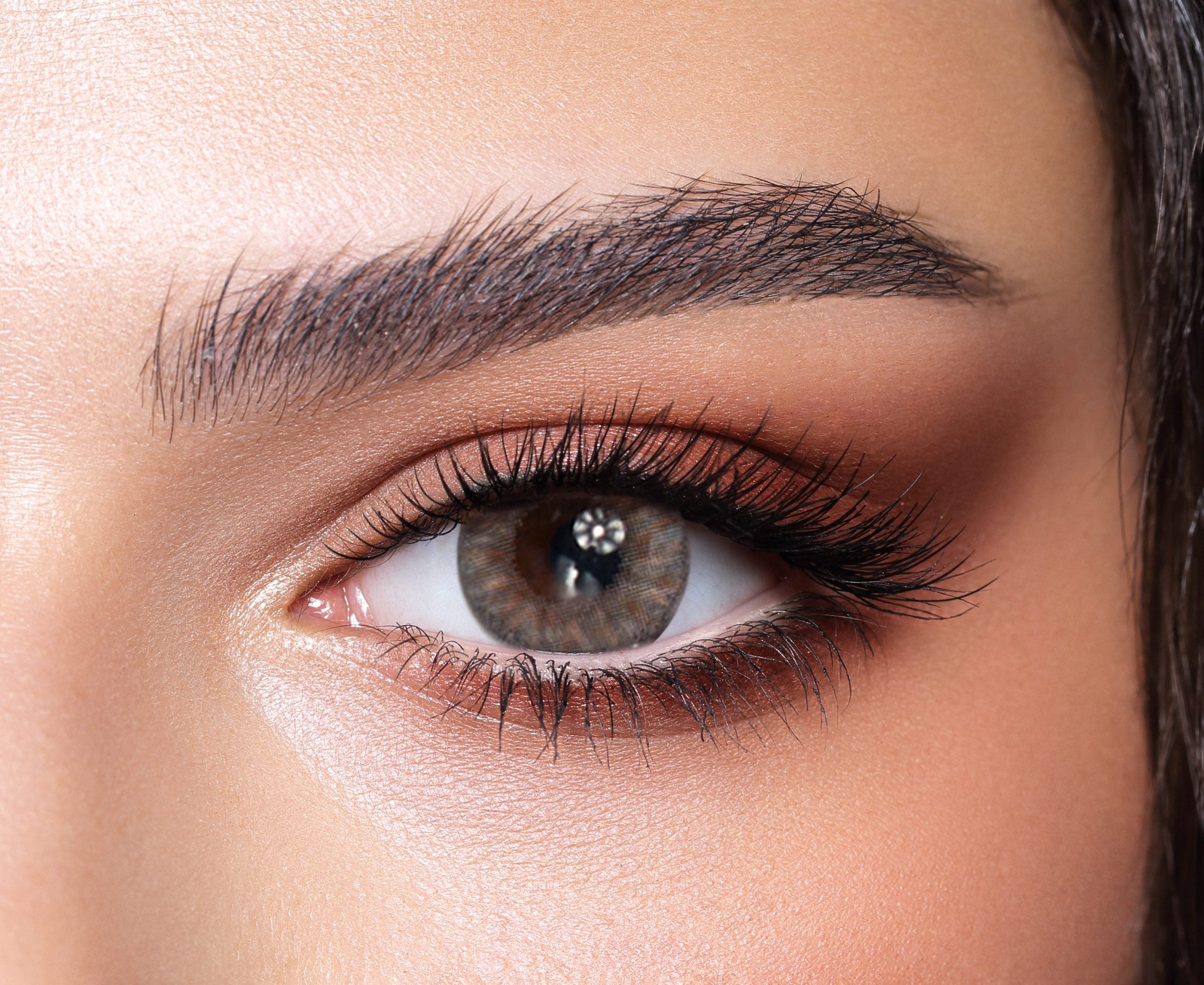 Rosewood Bella Contact Lenses from the One Day Collection
