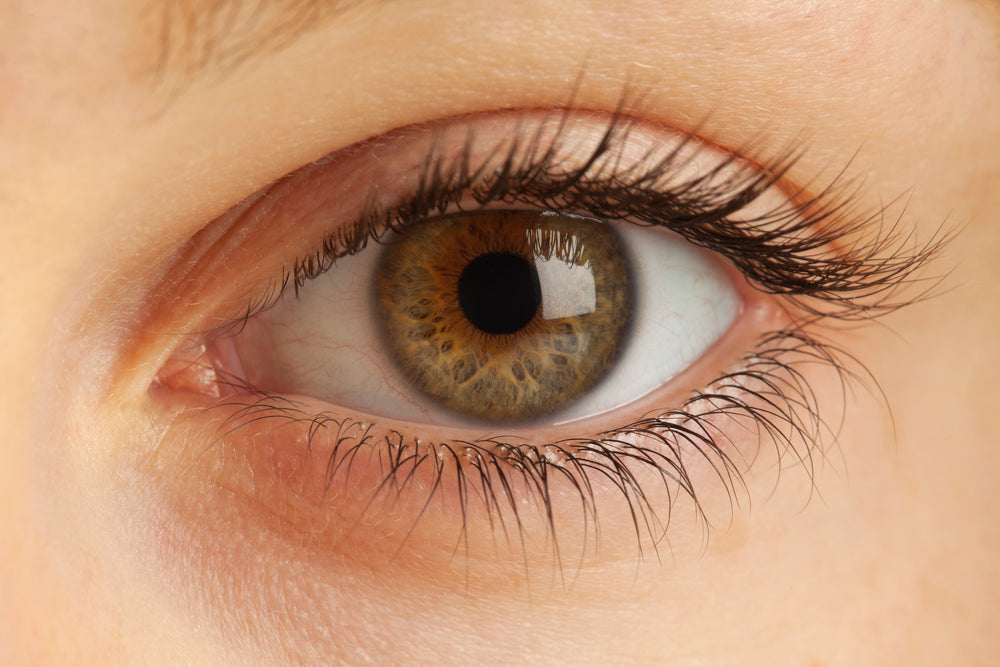 Picking The Best Colored Contacts For Hazel Eyes