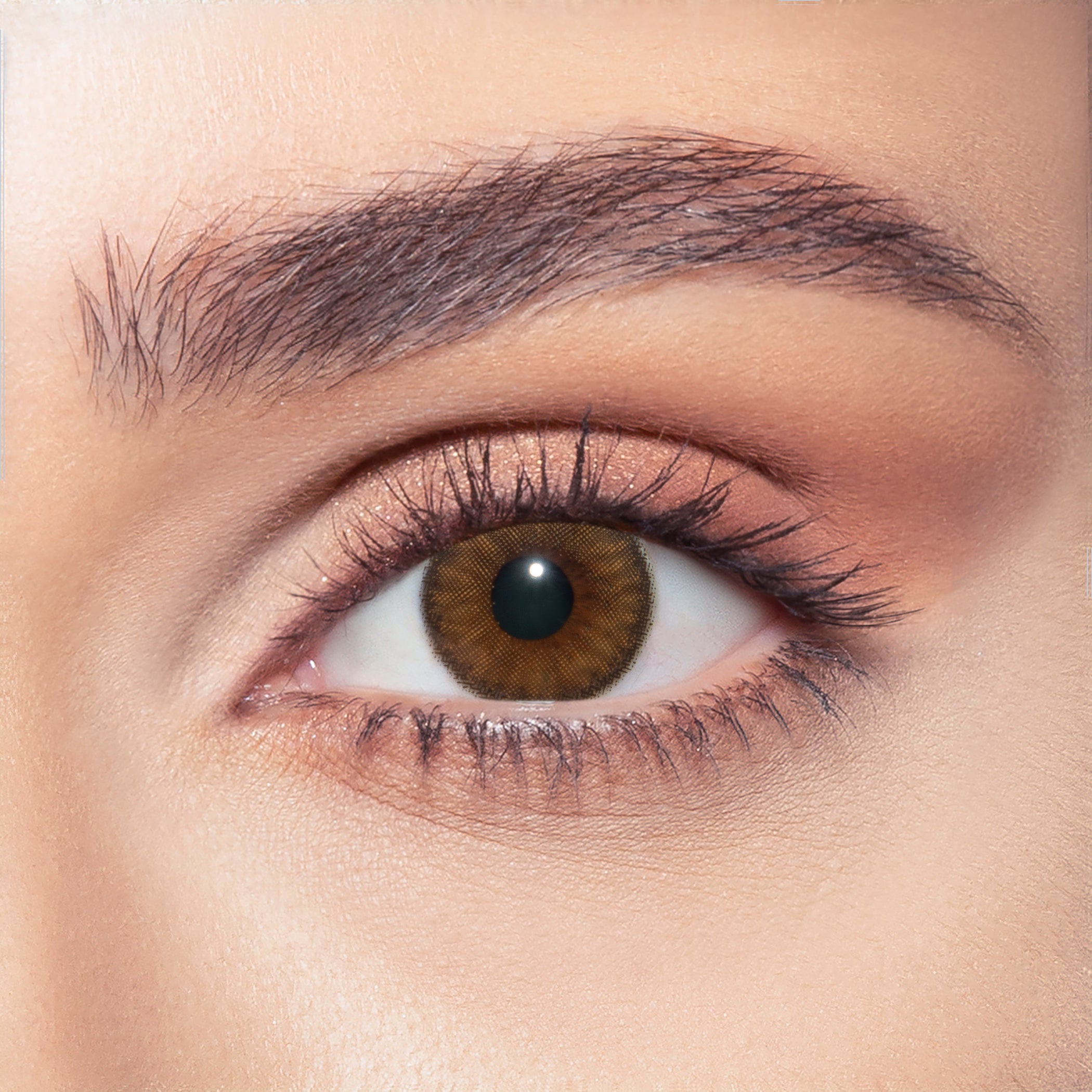 Nerelle Bella Contact Lenses