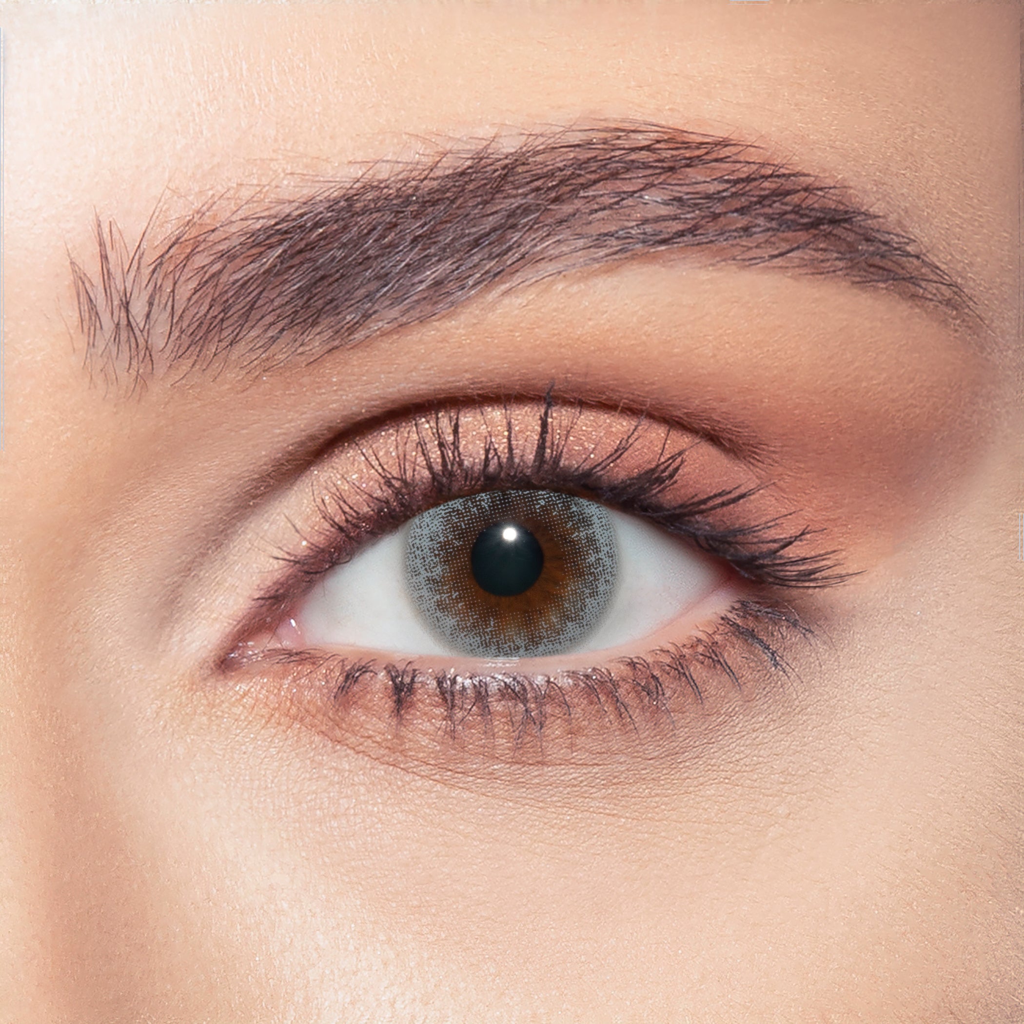 Silent Gray Bella Contact Lenses