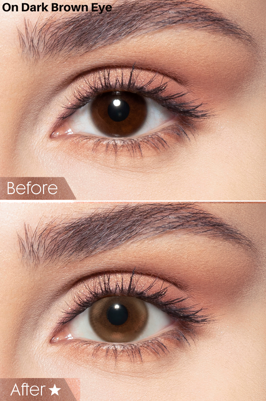 Siren Bronze Bella Contact Lenses