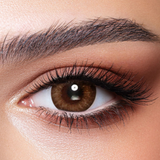 Almond Brown Bella Contact Lenses