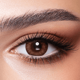 Almond Brown Bella Contact Lenses - Bella_Contact_Lenses