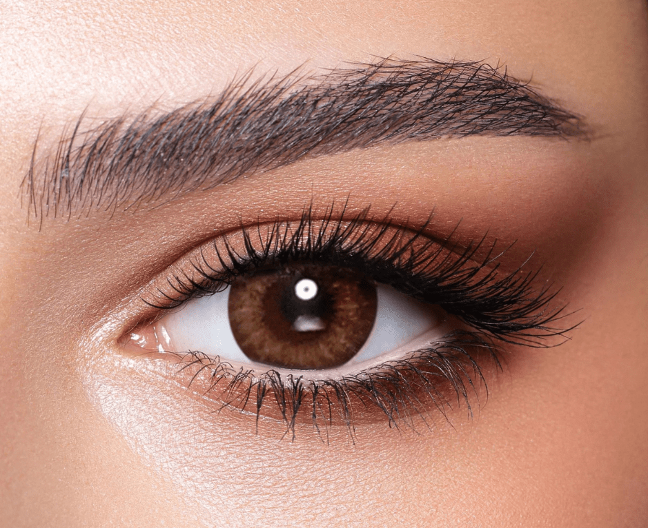 Almond Brown Bella Contact Lenses - Bella_Contact_Lenses