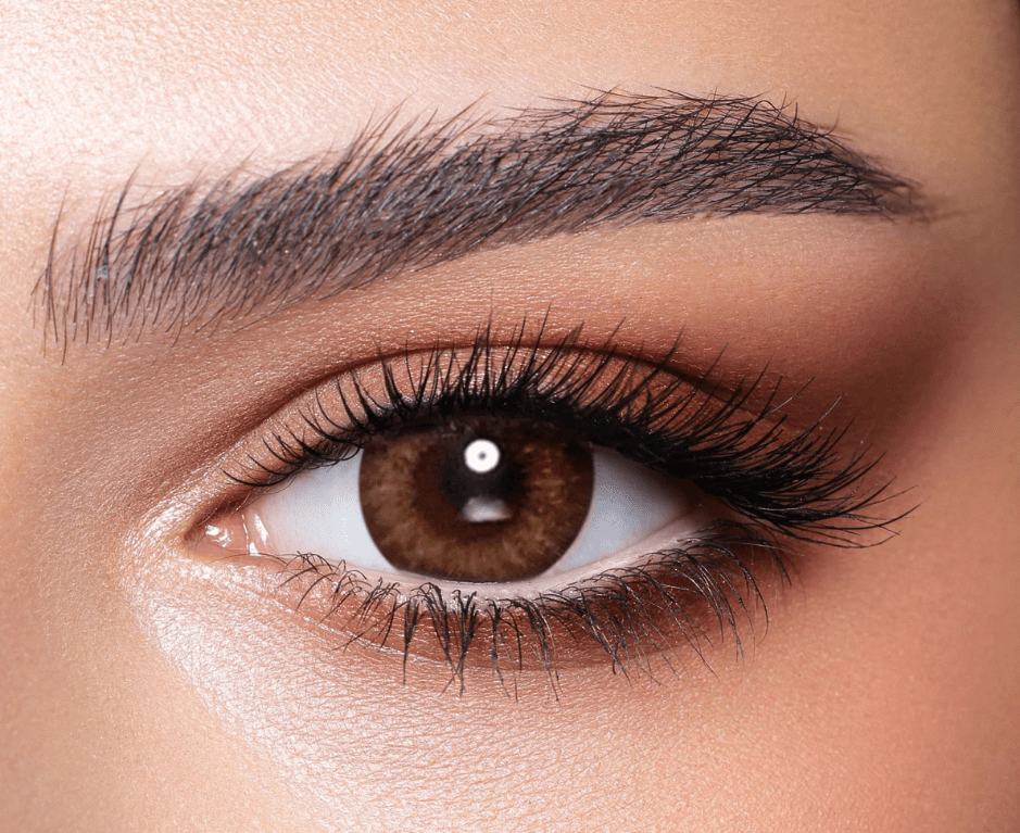 Almond Brown Bella Contact Lenses - Bella_Contact_Lenses