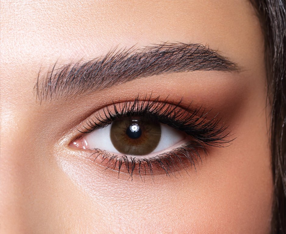 Brown Shadow Bella Contact Lenses - Bella_Contact_Lenses