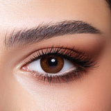 Cinnamon Brown Bella Contact Lenses - Bella_Contact_Lenses