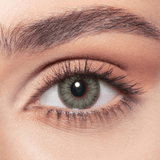Gray Green Bella Contact Lenses - Bella_Contact_Lenses