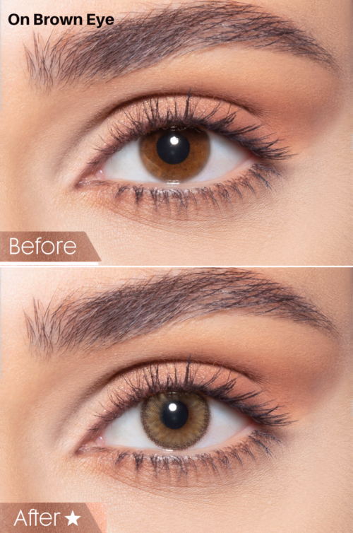 Bella Contact Lenses Agate Brown In USA