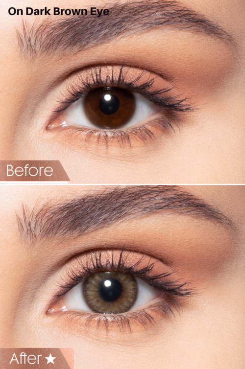 Bella Contact Lenses Agate Brown In USA