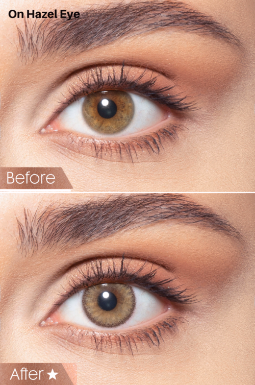 Bella Contact Lenses Agate Brown In USA