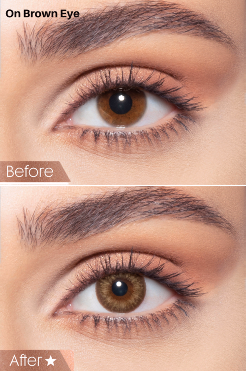 Bella Contact Lenses In USA Almond Brown