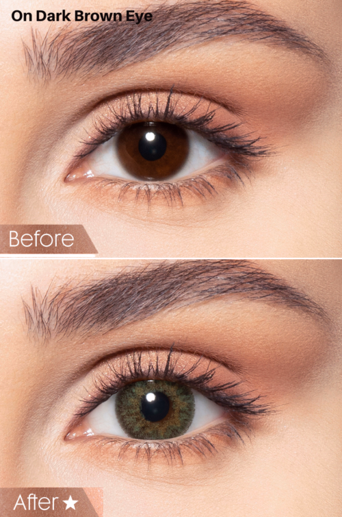 Bella Contact Lenses In USA Contour Green