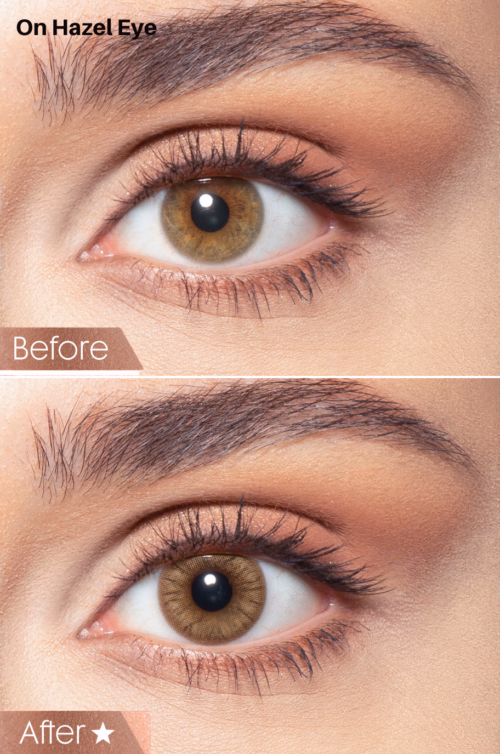 Bella Contact Lenses In USA Hazel Honey