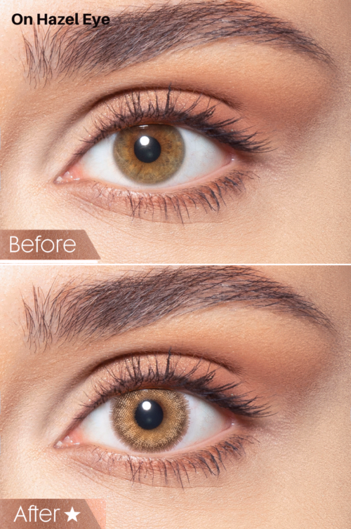 Bella Contact Lenses In USA OAK