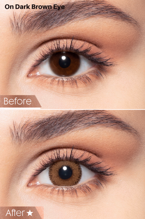Bella Contact Lenses In USA Radiant Brown