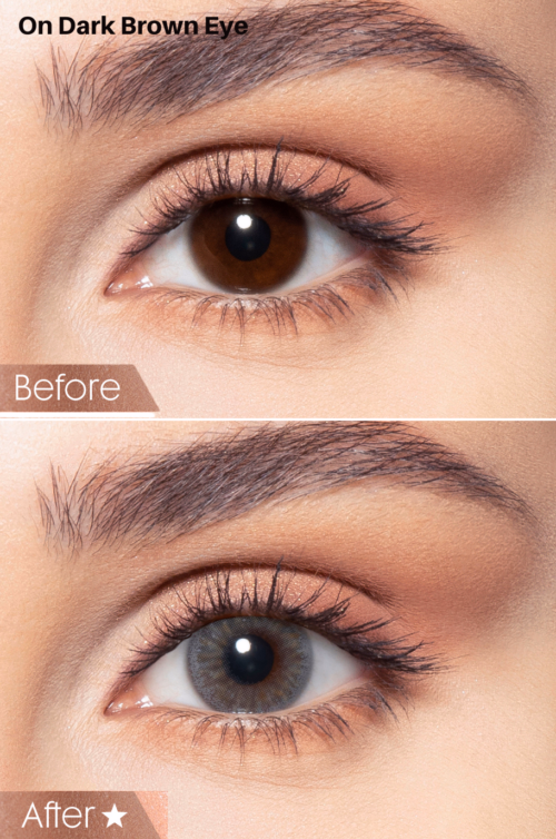 Bella Contact Lenses In USA Wood Stone